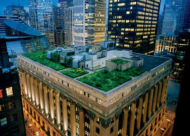 A lofty idea is blossoming in cities around the world, where acres of potential green space lie overhead.